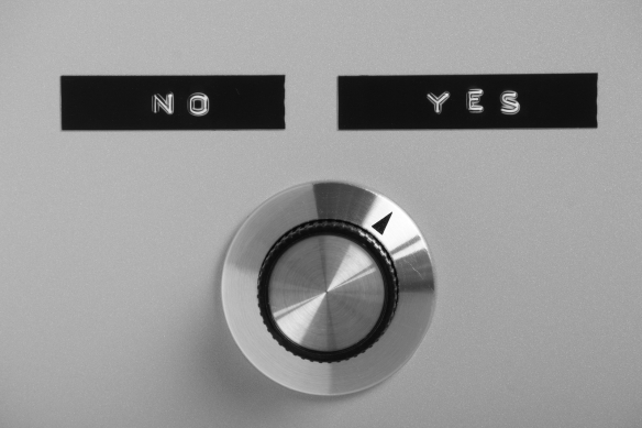 Yes or No Switch